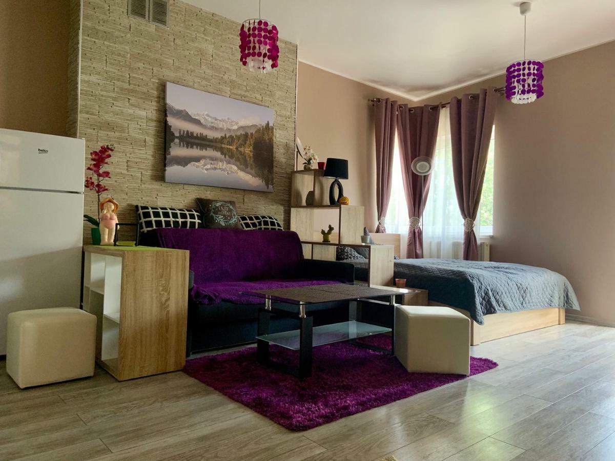 Sunny Apartment 别尔斯克-比亚拉 外观 照片